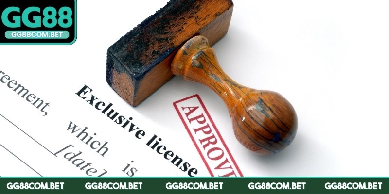 Các loại giấy phép hoạt động đã được nhận