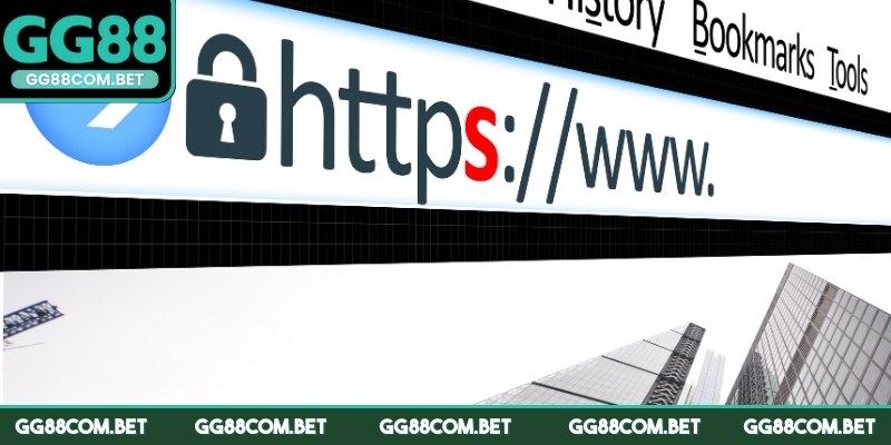 Liên hệ đội CSKH để lấy liên kết truy cập nền tảng 